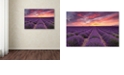 Trademark Global Michael Blanchette Photography 'Lavender Sunrise' Canvas Art, 12" x 19"